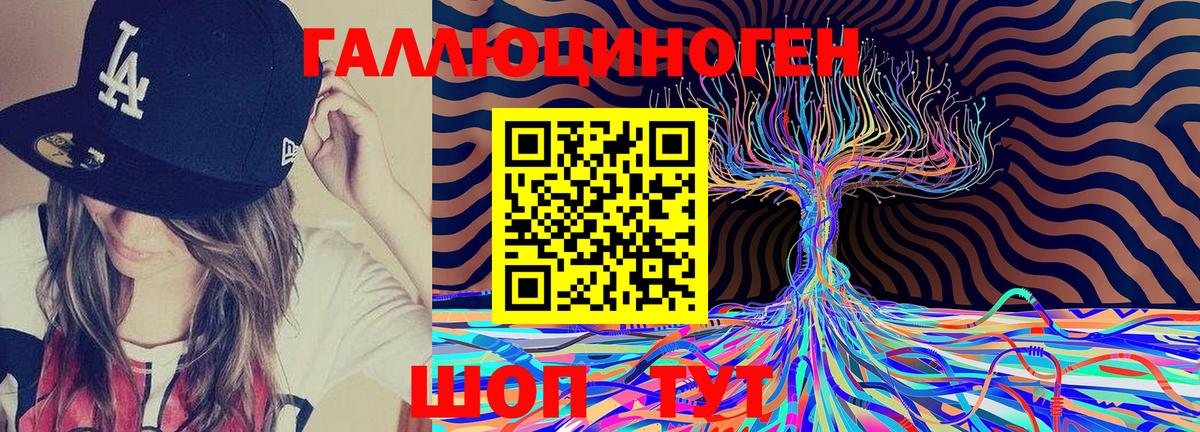Псилоцибиновые грибы Psilocybine cubensis  Вход с VPN  Джанкой 